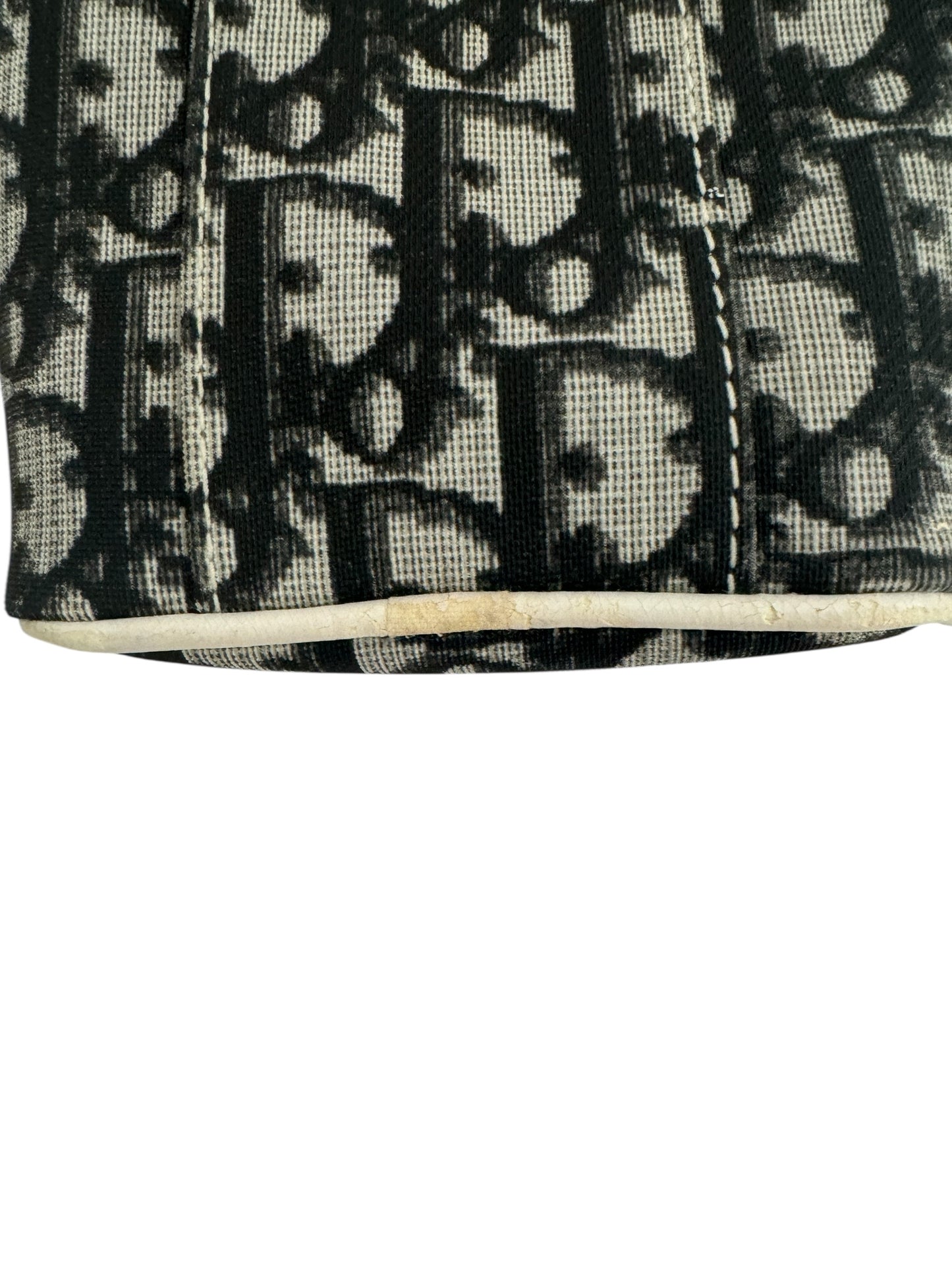 CHRISTIAN DIOR TROTTER VANITY CASE